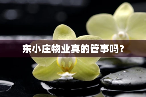 东小庄物业真的管事吗？