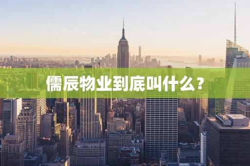 儒辰物业到底叫什么？