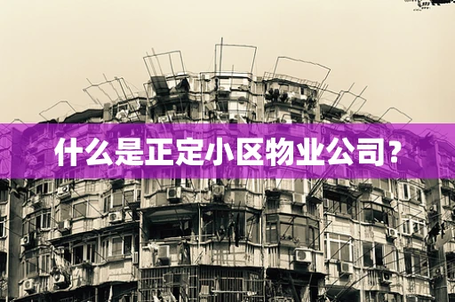 什么是正定小区物业公司？