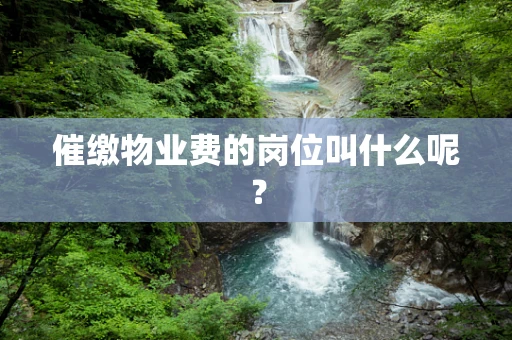 催缴物业费的岗位叫什么呢？
