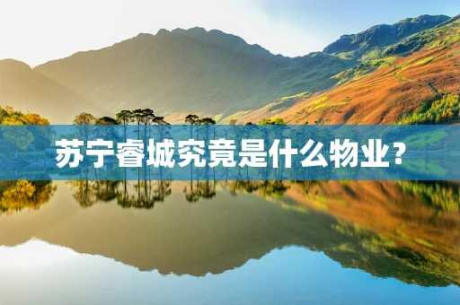 苏宁睿城究竟是什么物业？
