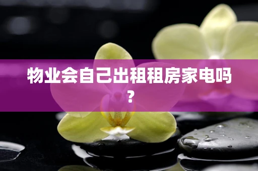 物业会自己出租租房家电吗？