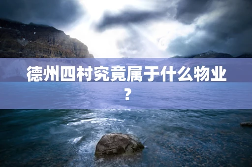 德州四村究竟属于什么物业？