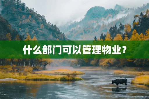 什么部门可以管理物业？