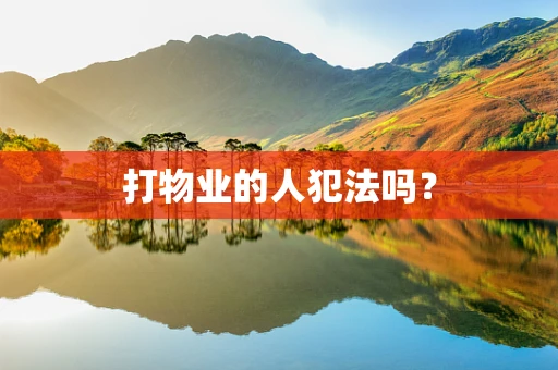 打物业的人犯法吗？