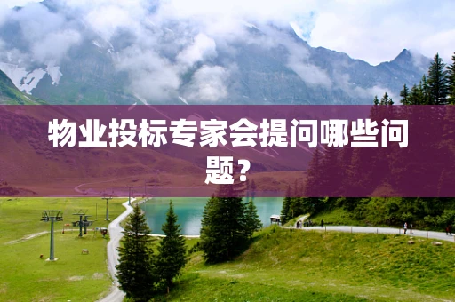 物业投标专家会提问哪些问题？