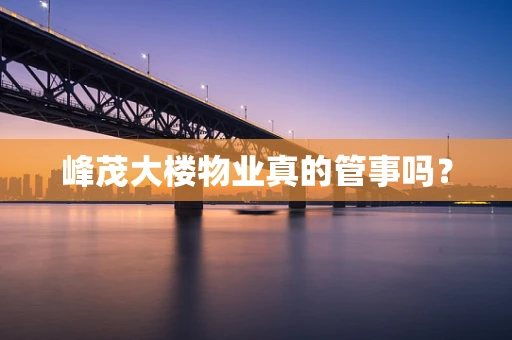 峰茂大楼物业真的管事吗？