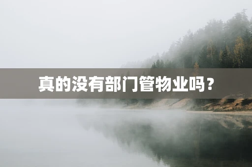 真的没有部门管物业吗？