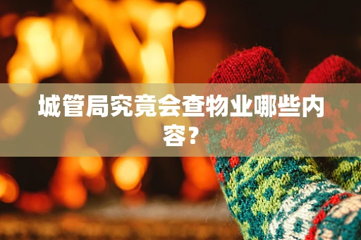 城管局究竟会查物业哪些内容？
