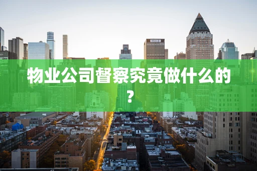 物业公司督察究竟做什么的？