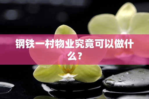 钢铁一村物业究竟可以做什么？