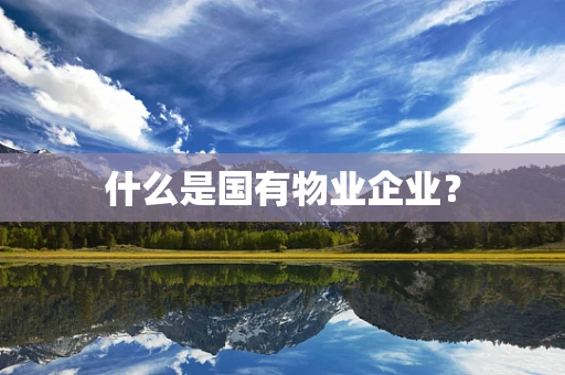 什么是国有物业企业？
