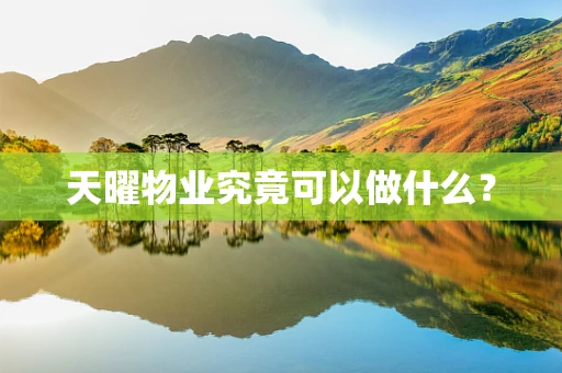 天曜物业究竟可以做什么？