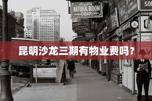 昆明沙龙三期有物业费吗？