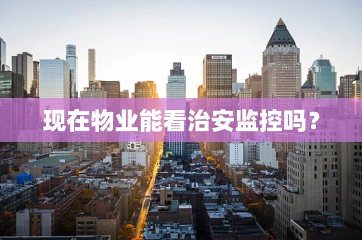 现在物业能看治安监控吗？