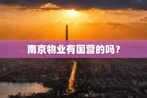 南京物业有国营的吗？