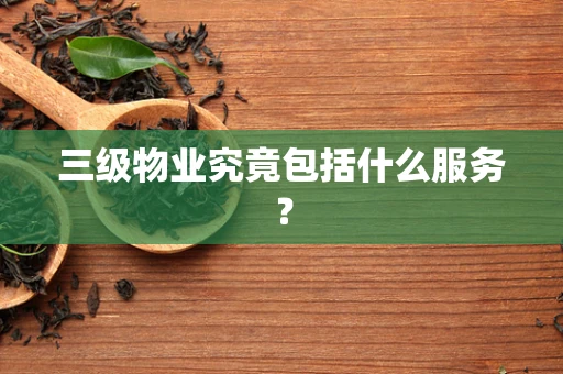 三级物业究竟包括什么服务？