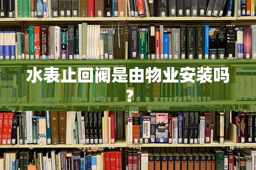 水表止回阀是由物业安装吗？