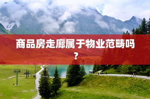 商品房走廊属于物业范畴吗？