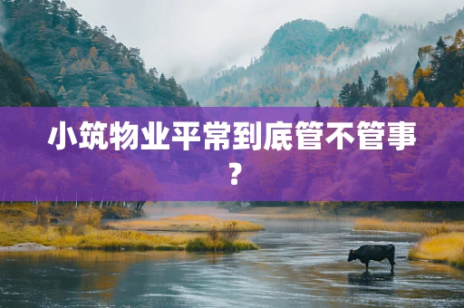 小筑物业平常到底管不管事？