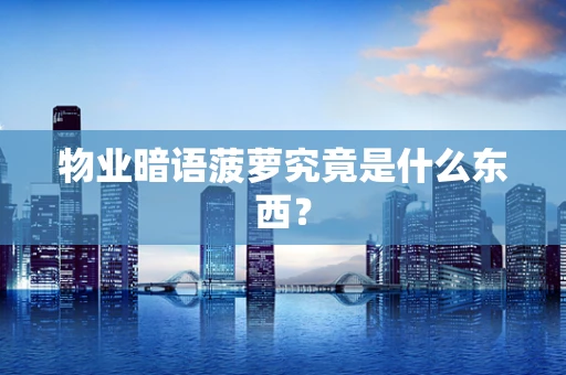 物业暗语菠萝究竟是什么东西？