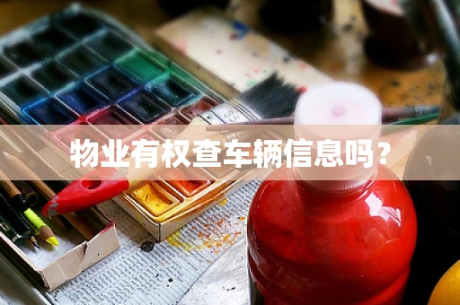 物业有权查车辆信息吗？