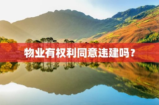 物业有权利同意违建吗？