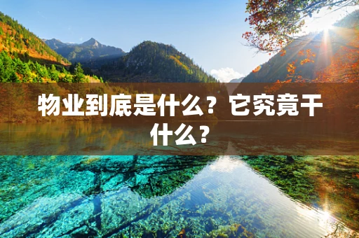 物业到底是什么？它究竟干什么？