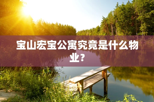 宝山宏宝公寓究竟是什么物业？
