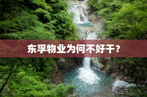 东孚物业为何不好干？