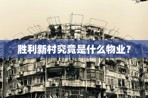 胜利新村究竟是什么物业？