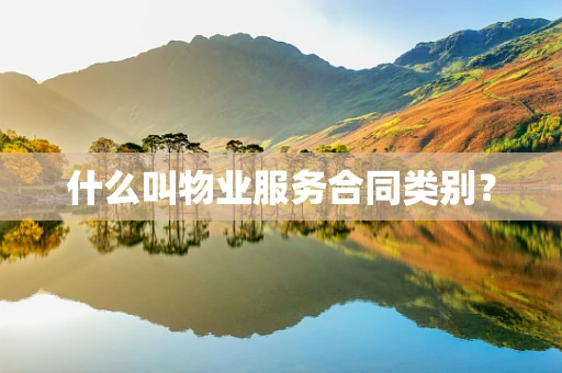 什么叫物业服务合同类别？