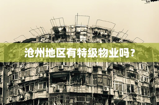 沧州地区有特级物业吗？