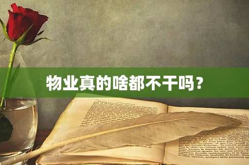 物业真的啥都不干吗？