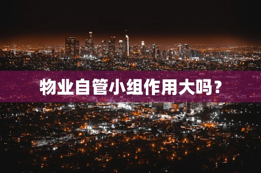 物业自管小组作用大吗？