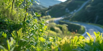 鹤洞路山顶物业到底管不管事？