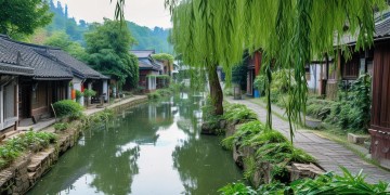 深圳新村是否有物业管理？