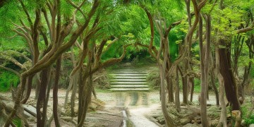 龙华荔园新村究竟是什么物业？