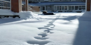 小区下雪摔倒，物业到底管不管？