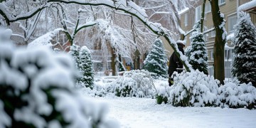 下雪后小区绿化维护责任物业要承担吗？