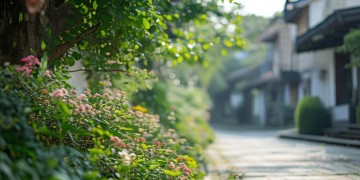东湖路物业究竟什么时候通知？