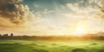 光明物业今天上市了吗？股价如何？